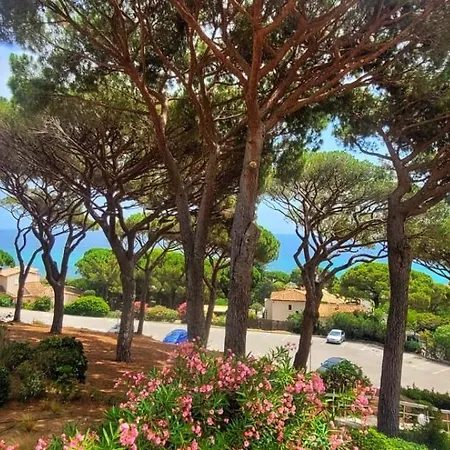 Apartment Vue 200 M Des Plages - Djumbo *
