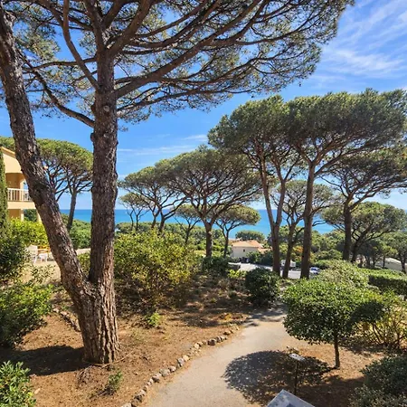 Vue 200 M Des Plages - Djumbo